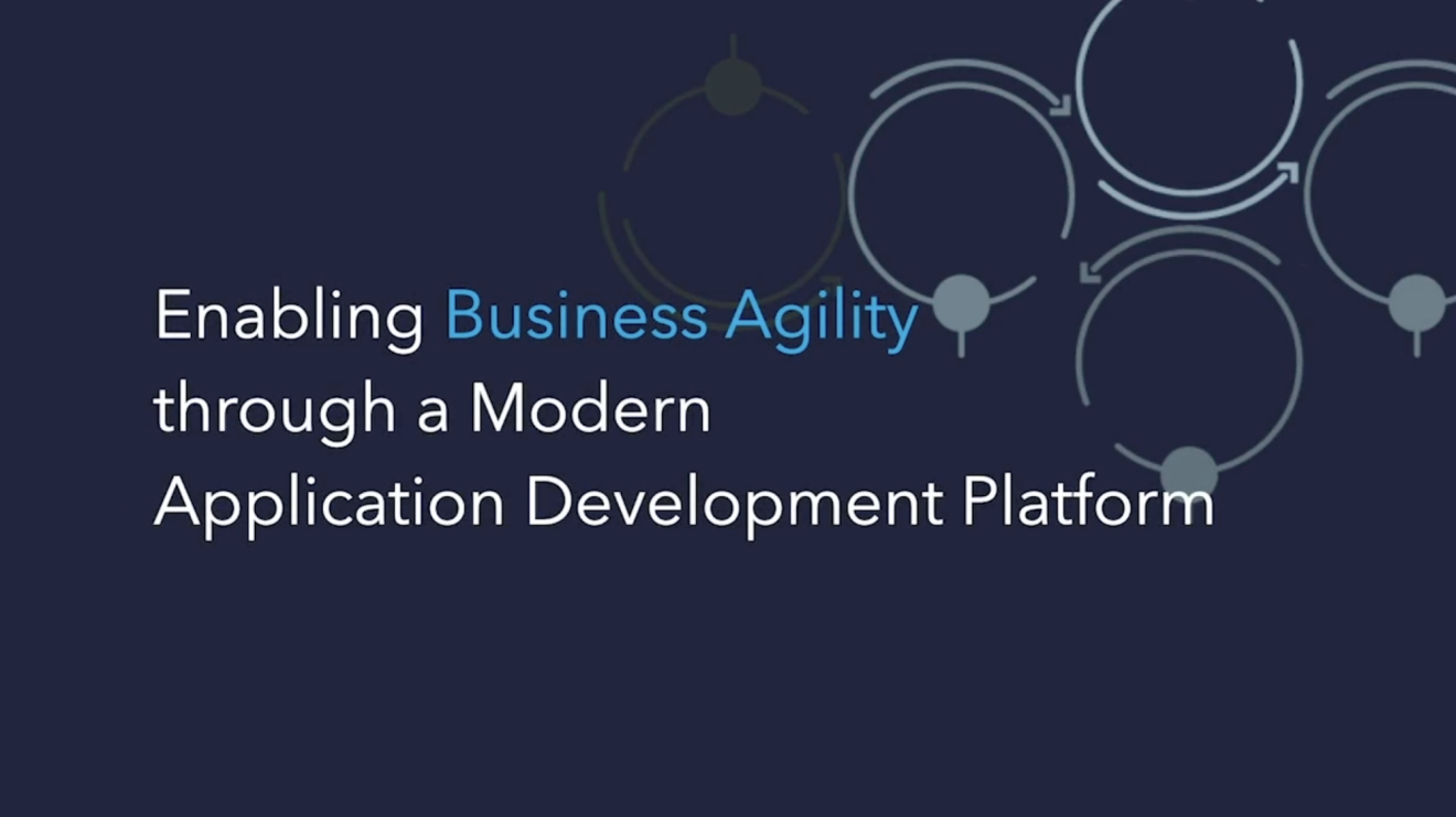 Screenshot of text, "Enabling business agility through a modern application development platform"