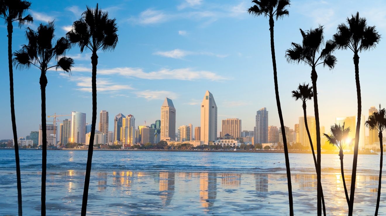 The San Diego skyline viewed through palm trees.